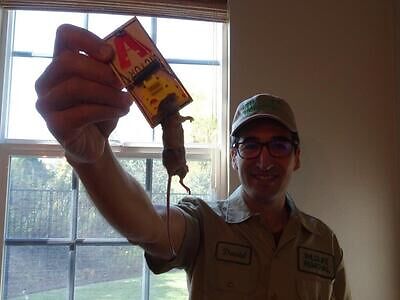 Melbourne pest control